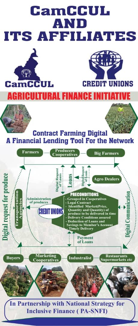 AGRIBUSINESS VALUE CHAIN